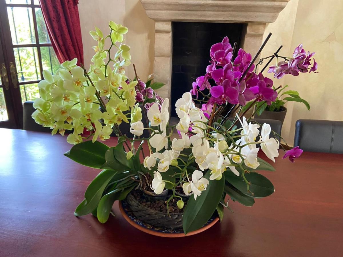 Villa Lámpara en la colina Benahavís Kültér fotó